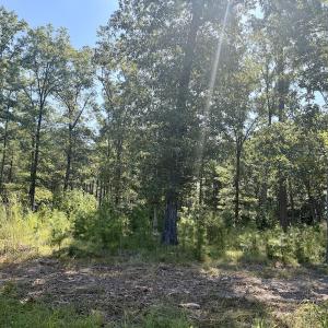 Photo #38 of Off of Lewis Mill Road, Clarksville, VA 2.5 acres