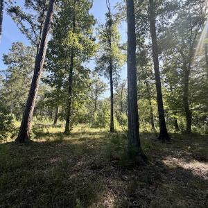 Photo #39 of Off of Lewis Mill Road, Clarksville, VA 2.5 acres
