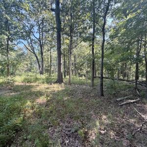 Photo #41 of Off of Lewis Mill Road, Clarksville, VA 2.5 acres