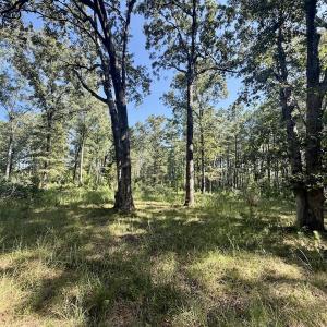 Photo #42 of Off of Lewis Mill Road, Clarksville, VA 2.5 acres