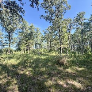 Photo #43 of Off of Lewis Mill Road, Clarksville, VA 2.5 acres