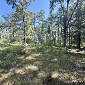 Photo #44 of Off of Lewis Mill Road, Clarksville, VA 2.5 acres