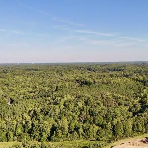 Photo #12 of Off of Piney Grove rd, Kernersville, NC 26.5 acres