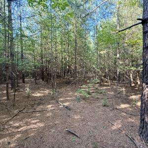 Photo #14 of Off of Piney Grove rd, Kernersville, NC 26.5 acres