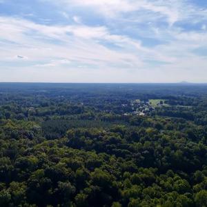 Photo #17 of Off of Piney Grove rd, Kernersville, NC 26.5 acres