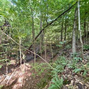 Photo #18 of Off of Piney Grove rd, Kernersville, NC 26.5 acres