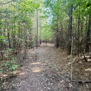 Photo #2 of Off of Piney Grove rd, Kernersville, NC 26.5 acres