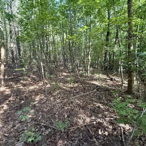 Photo #20 of Off of Piney Grove rd, Kernersville, NC 26.5 acres