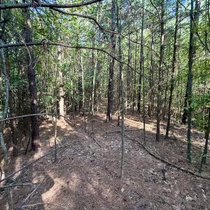 Photo #3 of Off of Piney Grove rd, Kernersville, NC 26.5 acres