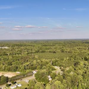 Photo #5 of Off of Piney Grove rd, Kernersville, NC 26.5 acres