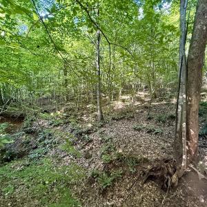 Photo #6 of Off of Piney Grove rd, Kernersville, NC 26.5 acres