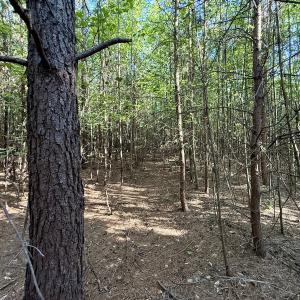 Photo #24 of Off of Piney Grove rd, Kernersville, NC 26.5 acres