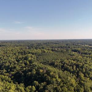 Photo #25 of Off of Piney Grove rd, Kernersville, NC 26.5 acres