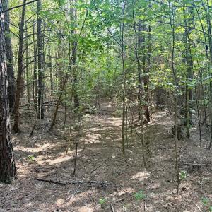 Photo #26 of Off of Piney Grove rd, Kernersville, NC 26.5 acres