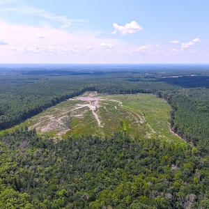 Photo #19 of Off of Newville Rd. , Waverly, VA 125.0 acres