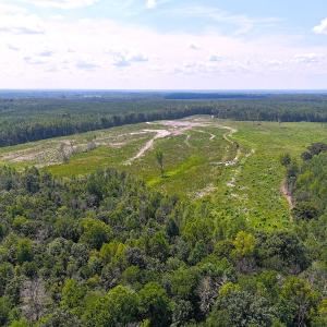 Photo #20 of Off of Newville Rd. , Waverly, VA 125.0 acres