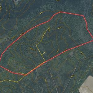 Photo #2 of Off of Newville Rd. , Waverly, VA 125.0 acres