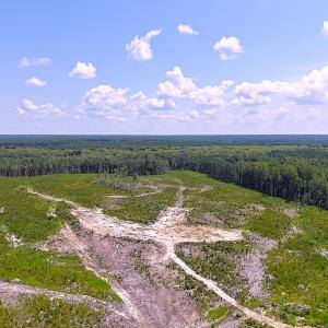 Photo #3 of Off of Newville Rd. , Waverly, VA 125.0 acres