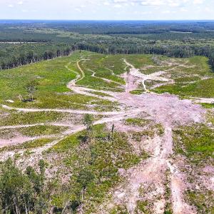 Photo #6 of Off of Newville Rd. , Waverly, VA 125.0 acres