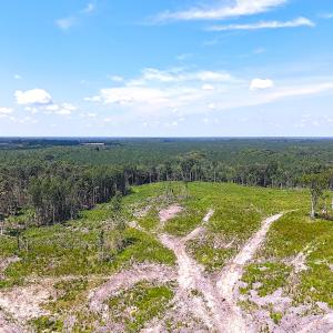 Photo #7 of Off of Newville Rd. , Waverly, VA 125.0 acres