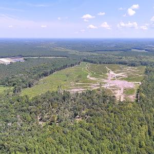 Photo #8 of Off of Newville Rd. , Waverly, VA 125.0 acres