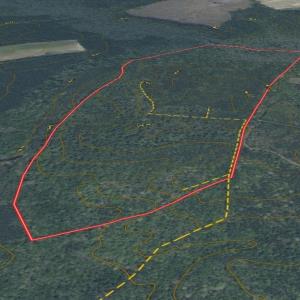 Photo #9 of Off of Newville Rd. , Waverly, VA 125.0 acres