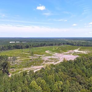 Photo #10 of Off of Newville Rd. , Waverly, VA 125.0 acres