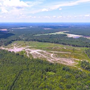 Photo #11 of Off of Newville Rd. , Waverly, VA 125.0 acres