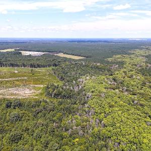 Photo #12 of Off of Newville Rd. , Waverly, VA 125.0 acres