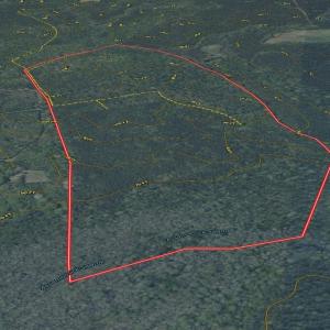 Photo #15 of Off of Newville Rd. , Waverly, VA 125.0 acres