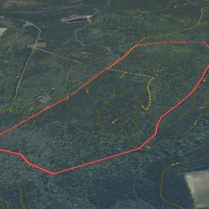 Photo #21 of Off of Newville Rd. , Waverly, VA 125.0 acres