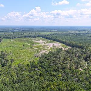 Photo #24 of Off of Newville Rd. , Waverly, VA 125.0 acres
