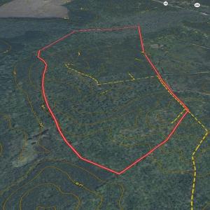 Photo #25 of Off of Newville Rd. , Waverly, VA 125.0 acres