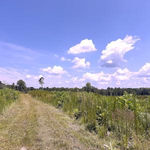 Photo #30 of Off of Newville Rd. , Waverly, VA 125.0 acres