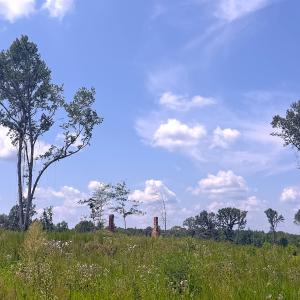 Photo #33 of Off of Newville Rd. , Waverly, VA 125.0 acres