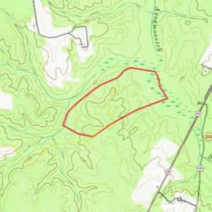 Photo #35 of Off of Newville Rd. , Waverly, VA 125.0 acres