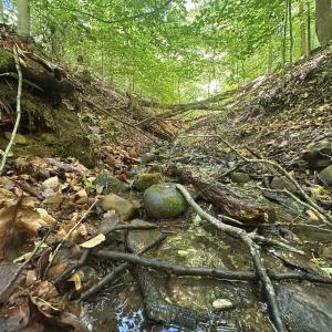 Photo #5 of Off of  Jones Overlook , Howardsville, VA 8.2 acres