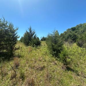 Photo #15 of Off of  Jones Overlook , Howardsville, VA 8.2 acres