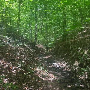 Photo #19 of Off of  Jones Overlook , Howardsville, VA 8.2 acres