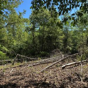 Photo #21 of Off of  Jones Overlook , Howardsville, VA 8.2 acres