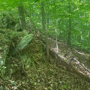 Photo #22 of Off of  Jones Overlook , Howardsville, VA 8.2 acres