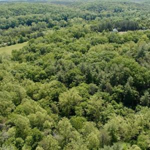Photo #28 of Off of  Jones Overlook , Howardsville, VA 8.2 acres