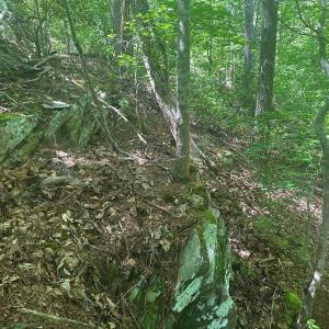 Photo #29 of Off of  Jones Overlook , Howardsville, VA 8.2 acres