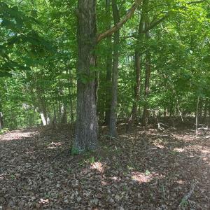 Photo #32 of Off of  Jones Overlook , Howardsville, VA 8.2 acres