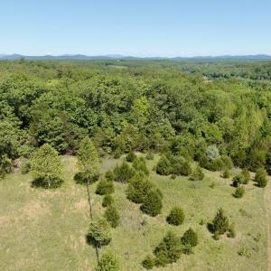 Photo #33 of Off of  Jones Overlook , Howardsville, VA 8.2 acres