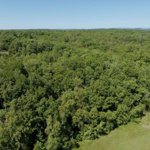 Photo #35 of Off of  Jones Overlook , Howardsville, VA 8.2 acres