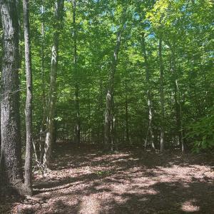 Photo #36 of Off of  Jones Overlook , Howardsville, VA 8.2 acres