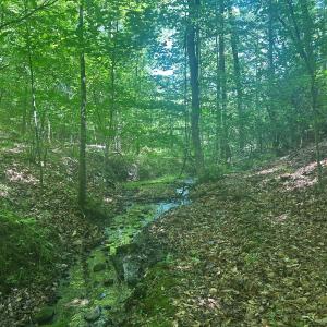 Photo #42 of Off of  Jones Overlook , Howardsville, VA 8.2 acres