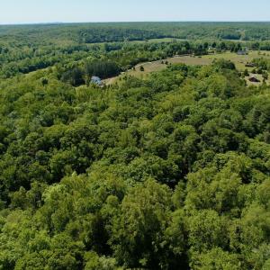 Photo #43 of Off of  Jones Overlook , Howardsville, VA 8.2 acres