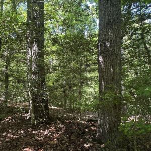 Photo #44 of Off of  Jones Overlook , Howardsville, VA 8.2 acres